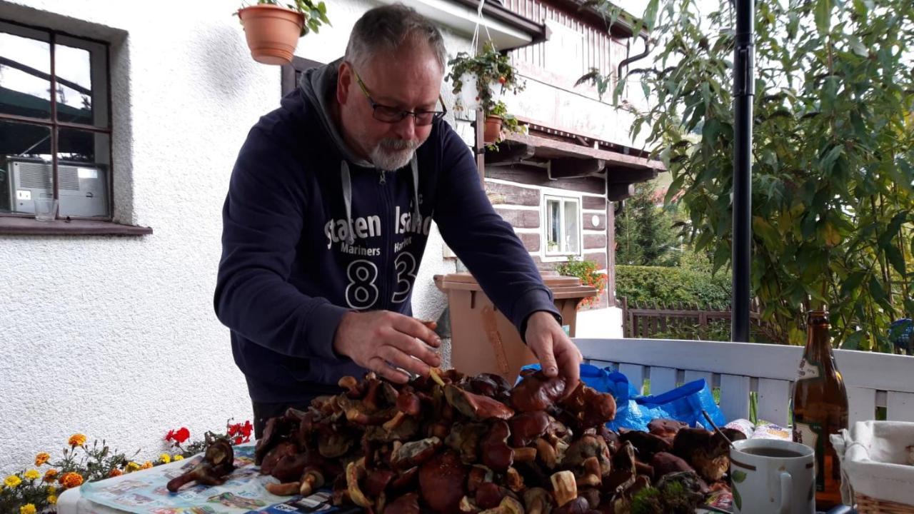 Chalupa pod Lysou Rokytnice nad Jizerou Exteriér fotografie